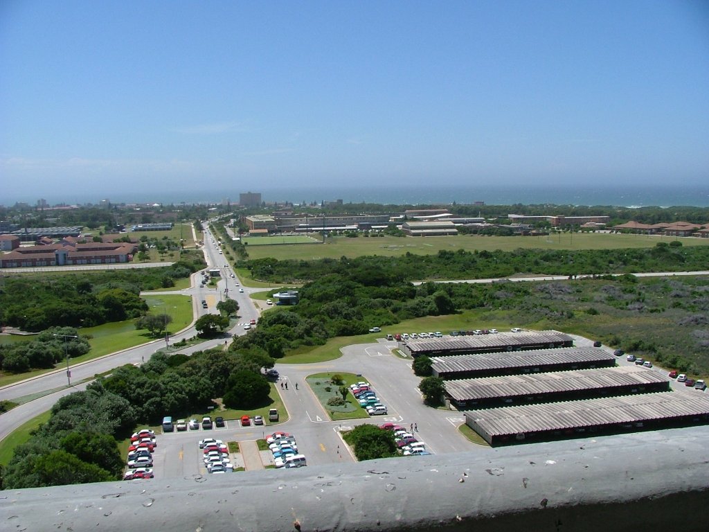 Ein Bild von summerstrand