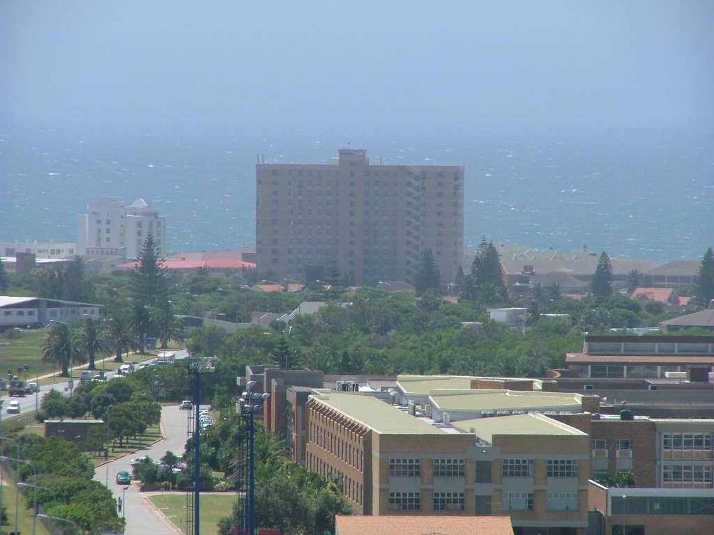 Ein Bild von summerstrand