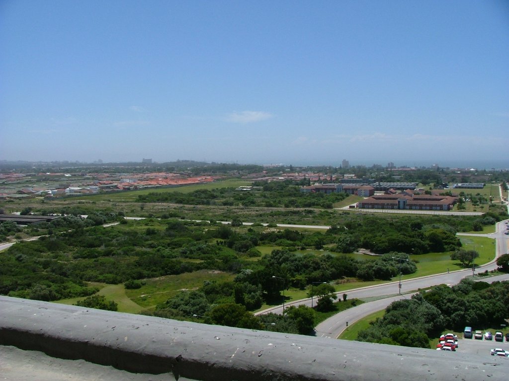 Ein Bild von summerstrand