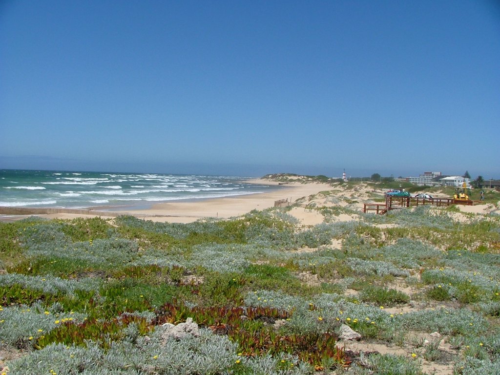 Ein Bild von summerstrand