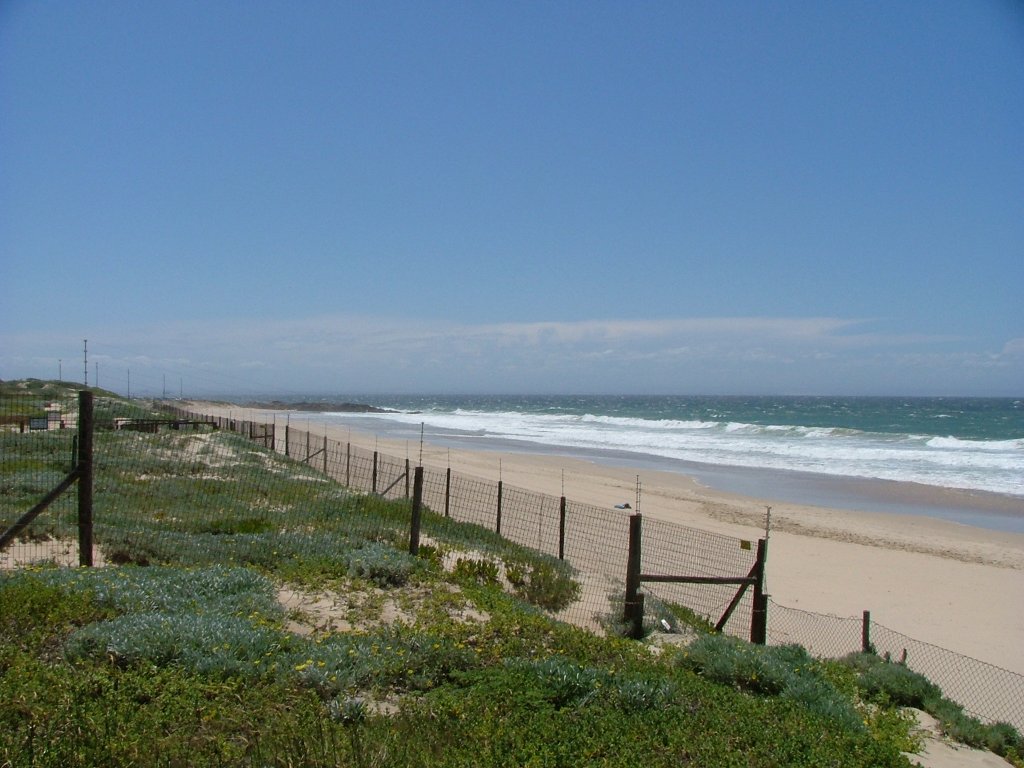 Ein Bild von summerstrand