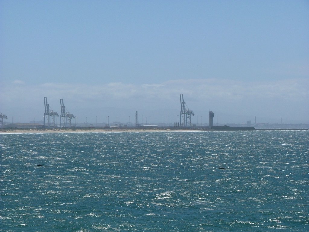 Ein Bild von summerstrand